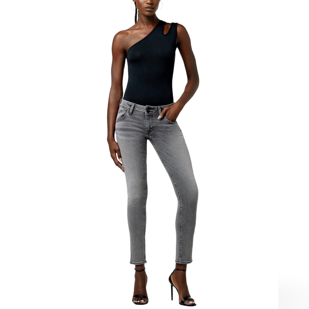 Hudson Jeans Women's Skinny Jeans in Grey Wash